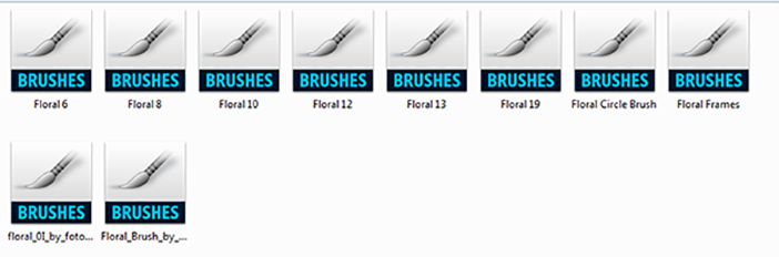 Preview Brush Floral