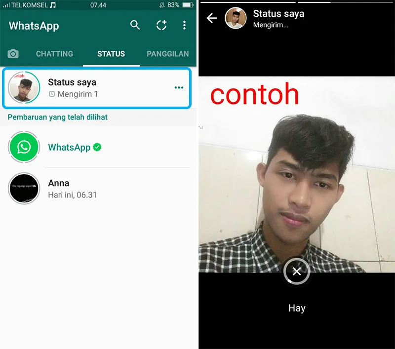 Tampilan Status WhatsApp 3