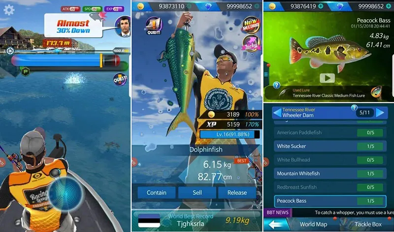 Kail Pancing Turnamen Kakap