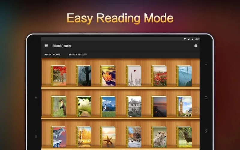 Profesional E-Reader