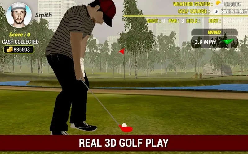 Profesional Golf Spin 3D