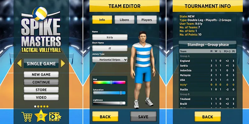 Spike Master Volleyball