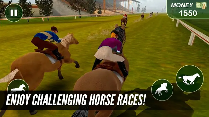 Racing Horse Champion 3D