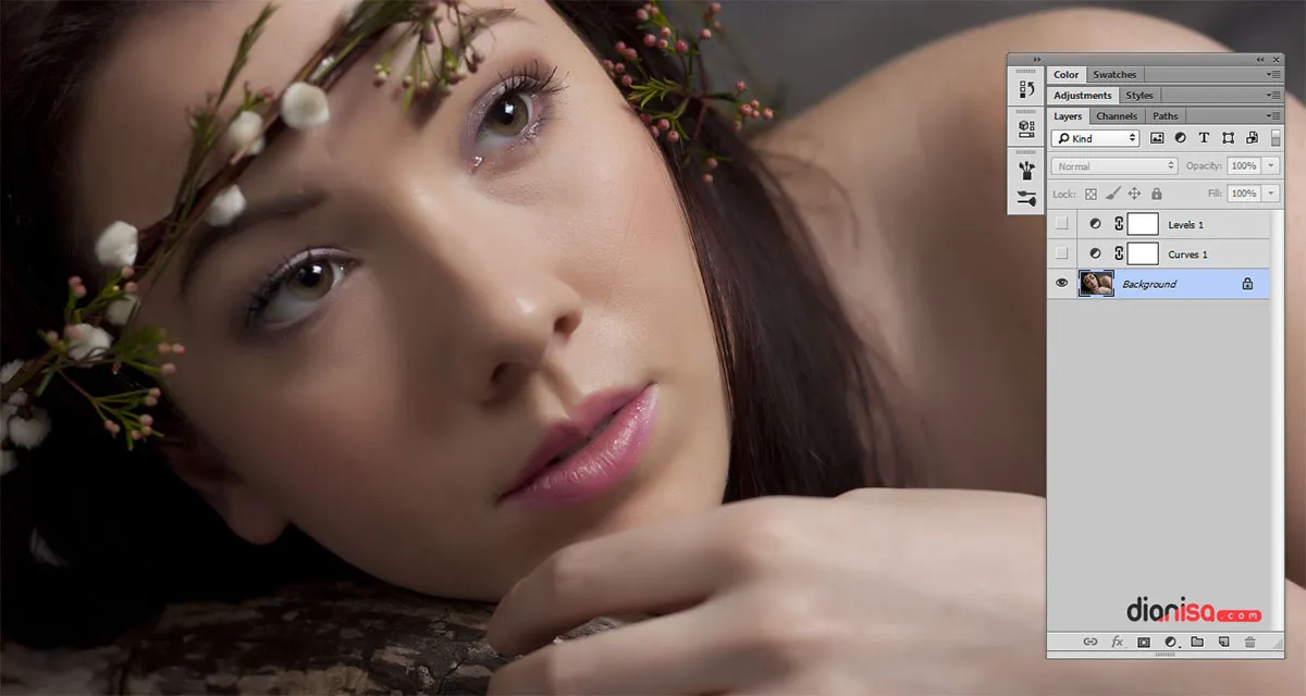 Mencerahkan Kulit Wajah Photoshop 1