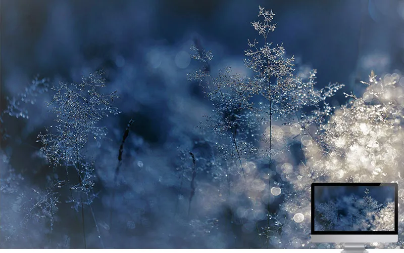 #1 Wallpaper Musim Dingin