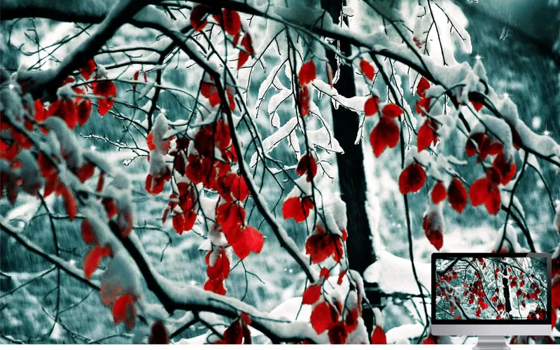 #20 Wallpaper Musim Dingin