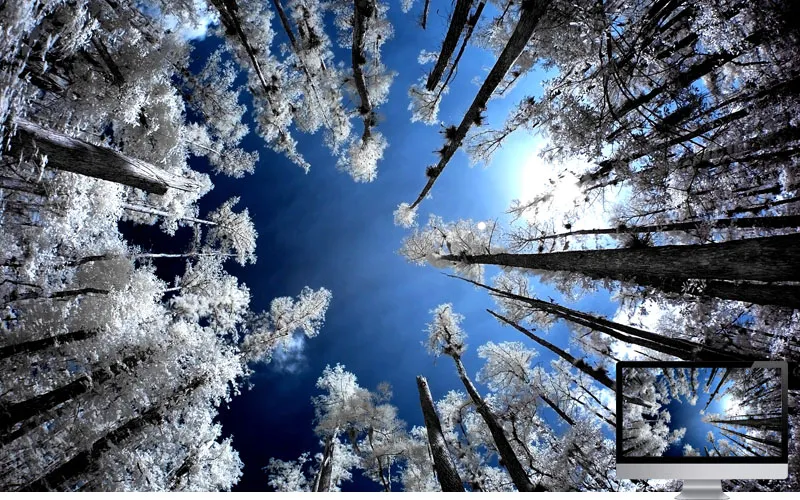 #24 Wallpaper Musim Dingin