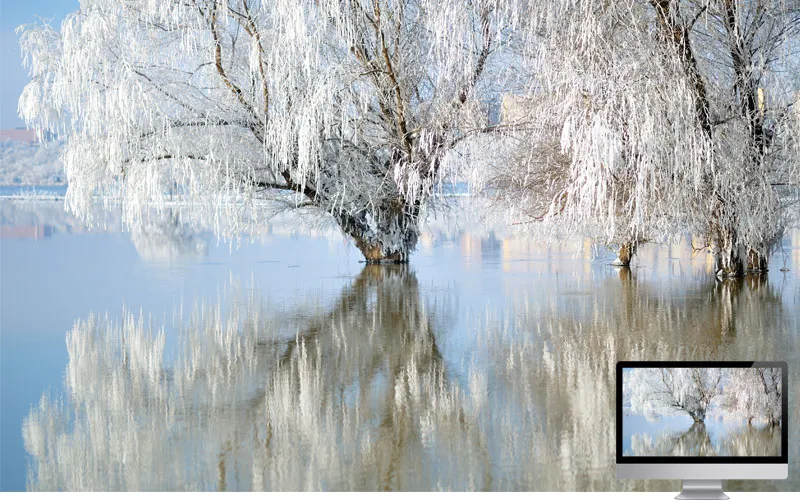 #25 Wallpaper Musim Dingin