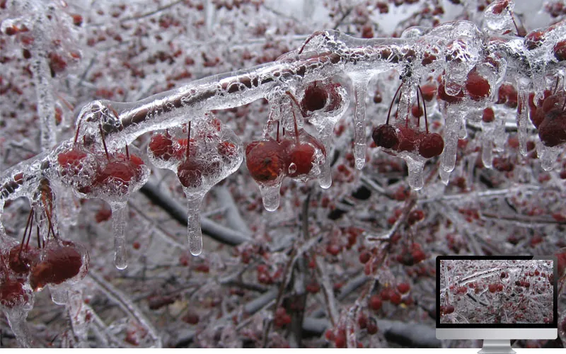 #26 Wallpaper Musim Dingin