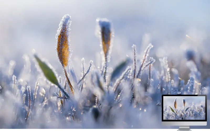 #29 Wallpaper Musim Dingin