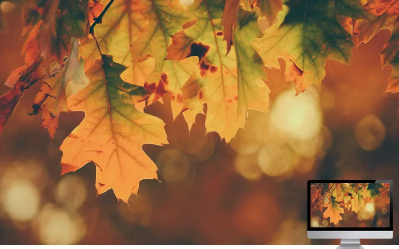 #1 Wallpaper Musim Gugur