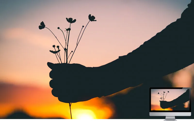 #14. Hand Flowers Silhouette Wallpaper