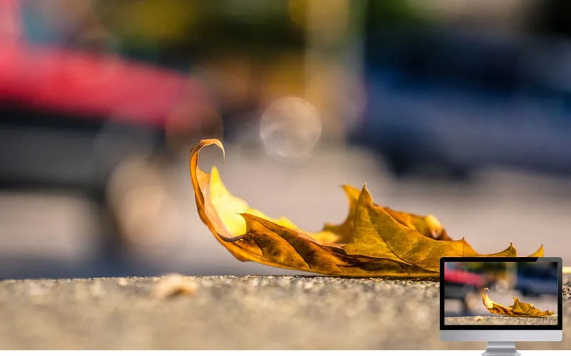 #16 Wallpaper Musim Gugur