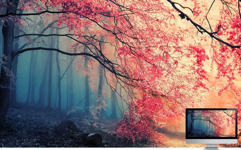 #18 Wallpaper Musim Gugur