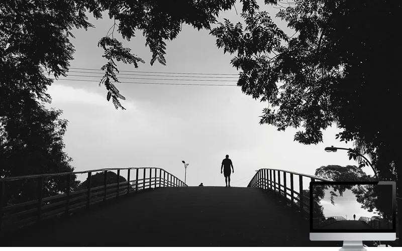 #19. Silhouette Trees BW Wallpaper