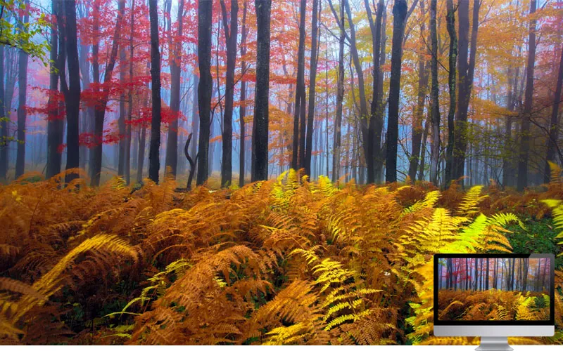 #19 Wallpaper Musim Gugur