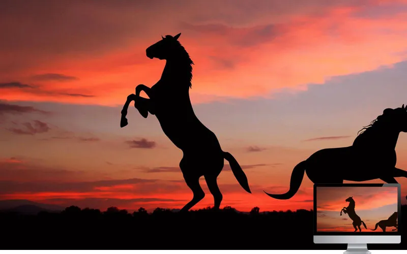 #2. Horse Silhouette Shadow Sunset Wallpaper