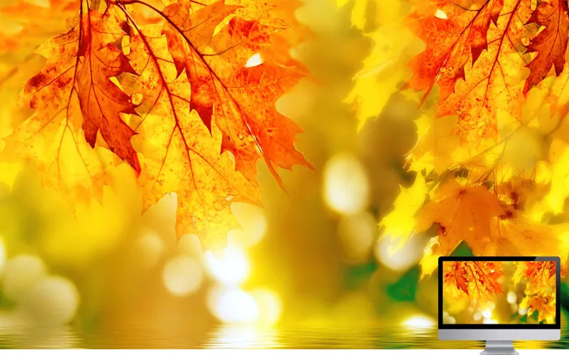 #20 Wallpaper Musim Gugur