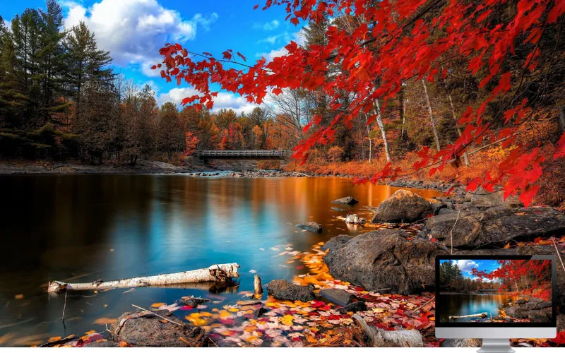 #21 Wallpaper Musim Gugur