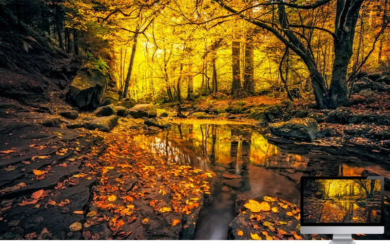 #22 Wallpaper Musim Gugur