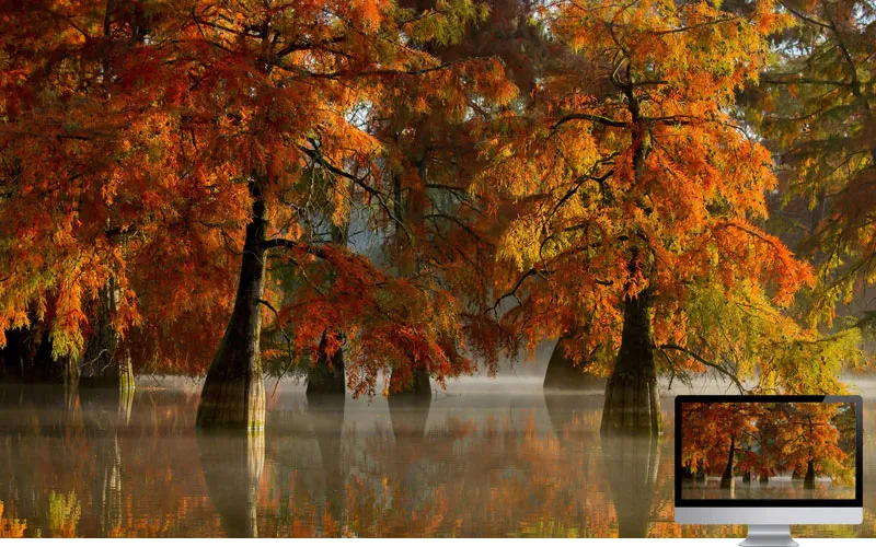 #28 Wallpaper Musim Gugur