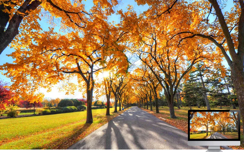 #6 Wallpaper Musim Gugur