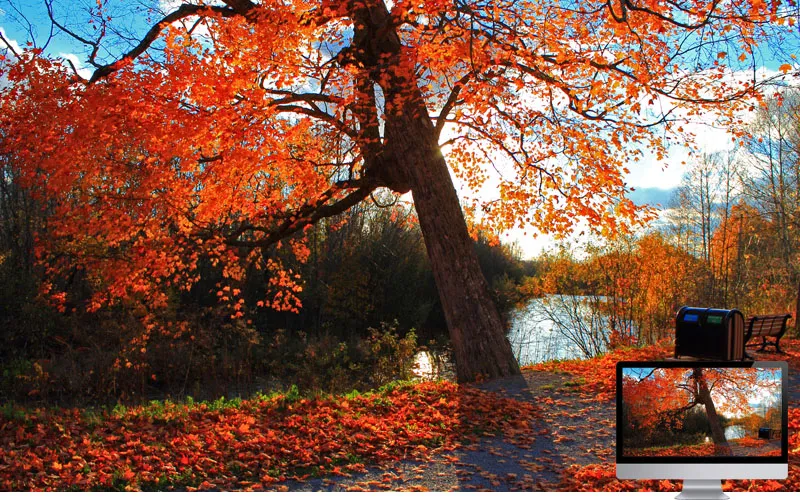 #8 Wallpaper Musim Gugur