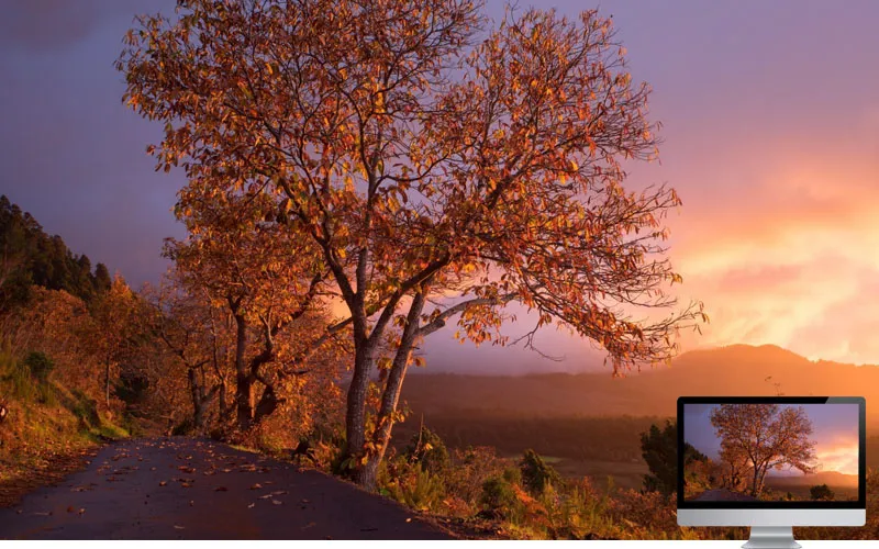 #9 Wallpaper Musim Gugur