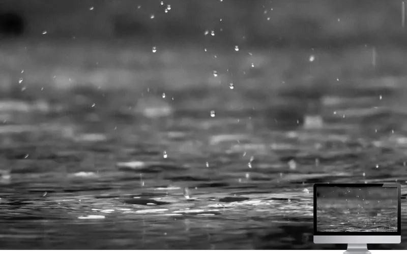 #2. Tetesan Musim Hujan