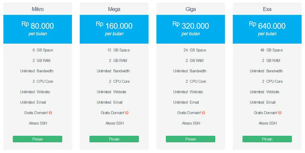 Paket Hosting Bisnis Domainesia