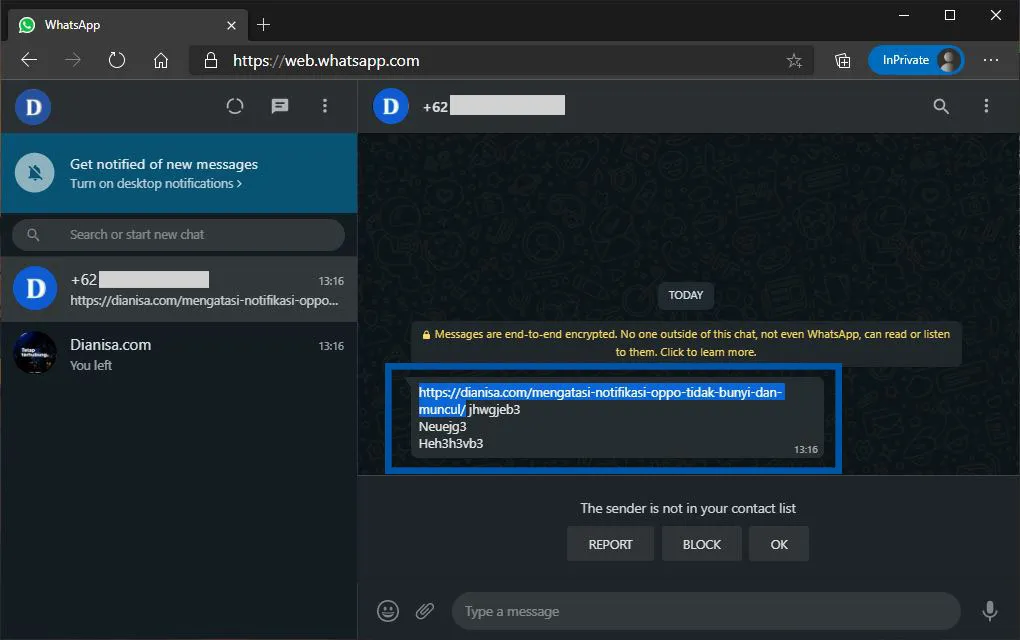 Salink Link WhatsApp Web