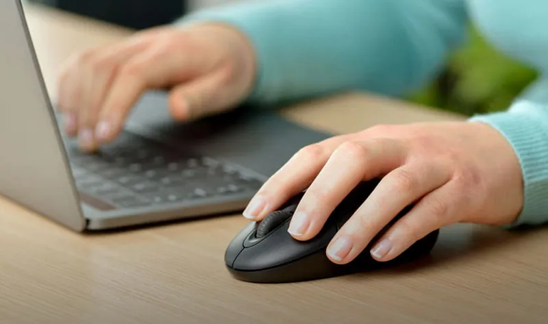 Pengertian Mouse Adalah