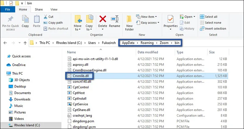 Copy Paste File Zoom