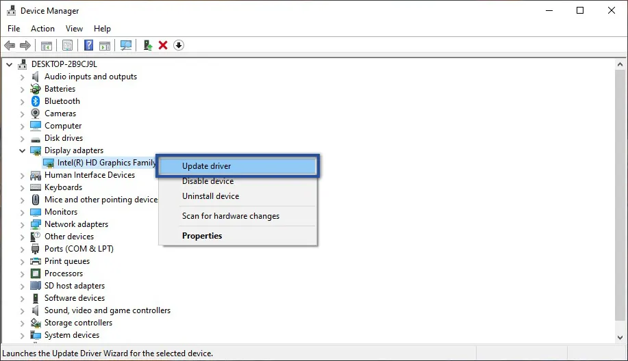Update Driver Display Adapter