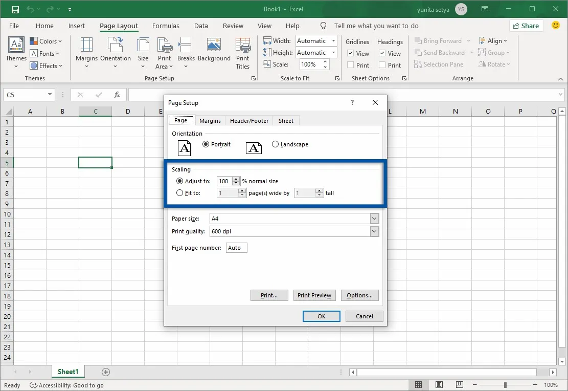 2 Atur ukuran kertas Microsoft Excel