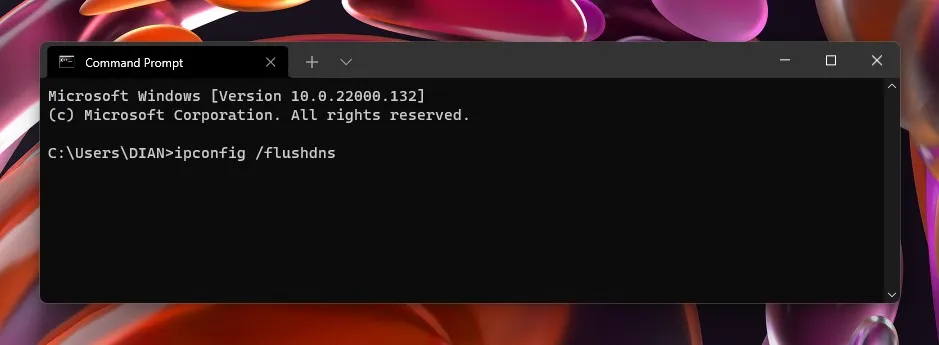 2 flushdns Windows 11