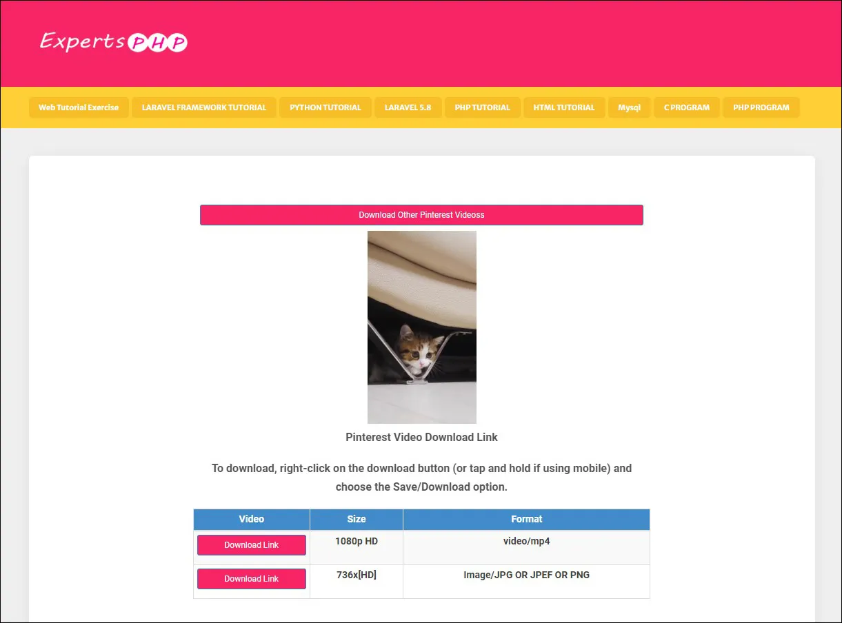 2 Download video Pinterest dari Experts PHP