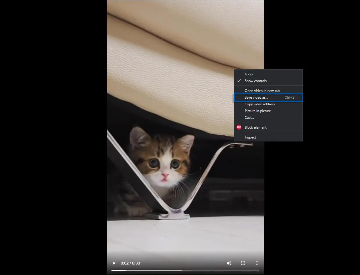 3 Klik kanan Save video as
