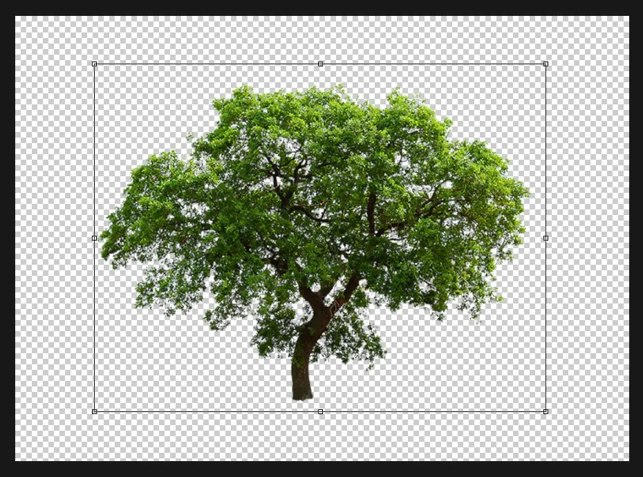 Flip Horizontal dan Flip Vertical