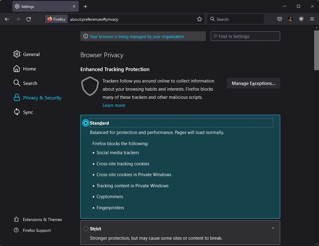 3 Settings di Firefox