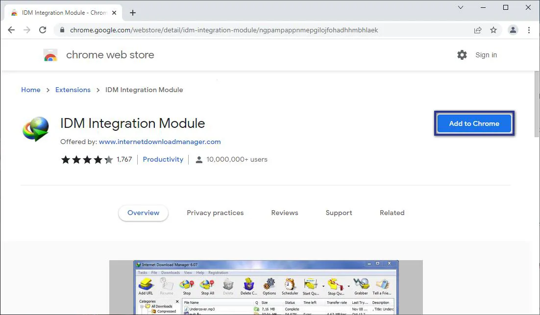 IDM Integration Module Google Web Store