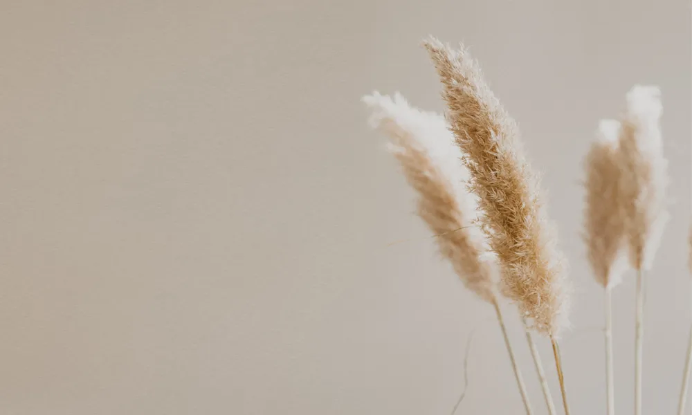 Background Aesthetic HD 2