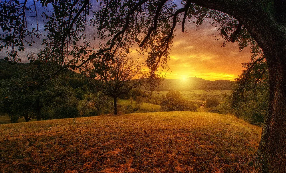 Background Aesthetic HD 7