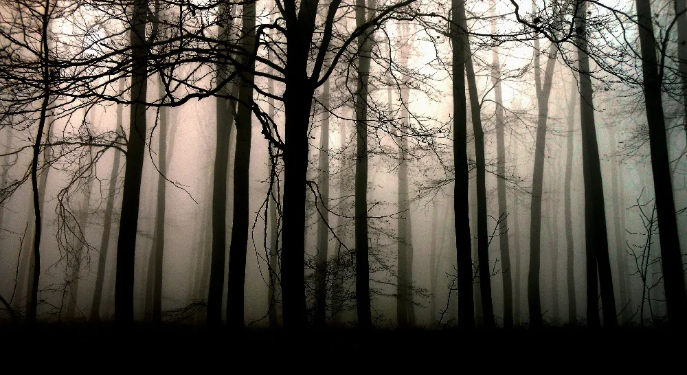 Background Dark HD 4