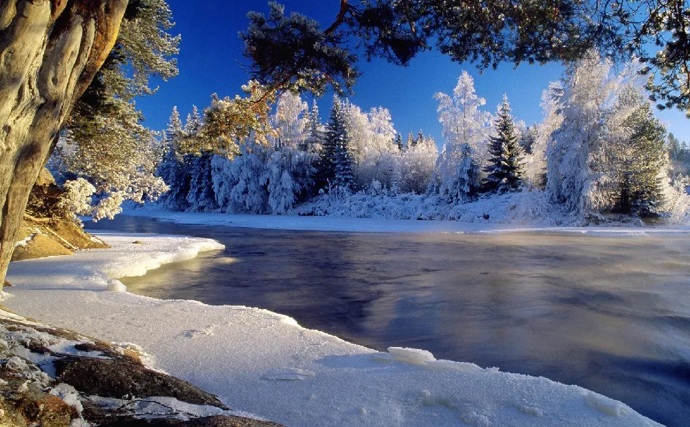 Background Musim Dingin 1