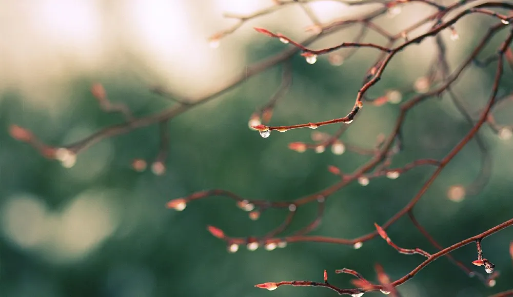 Background Musim Hujan 5