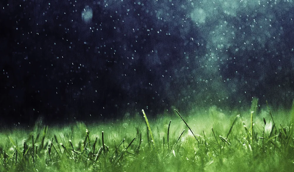 Background Musim Hujan 6