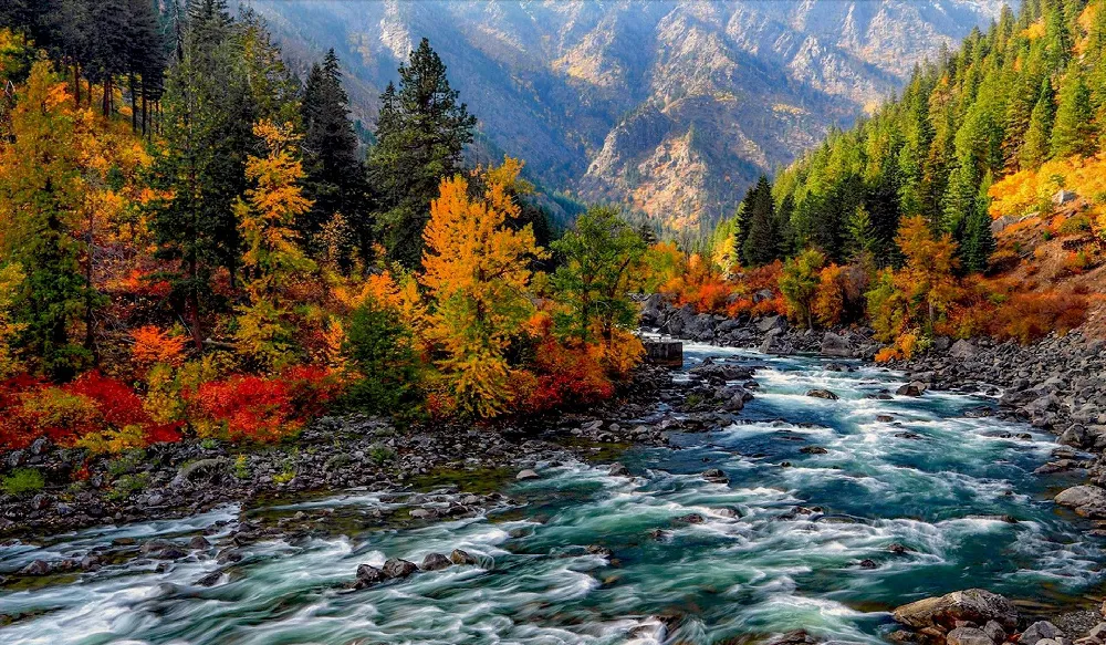 Background Musim Semi 1