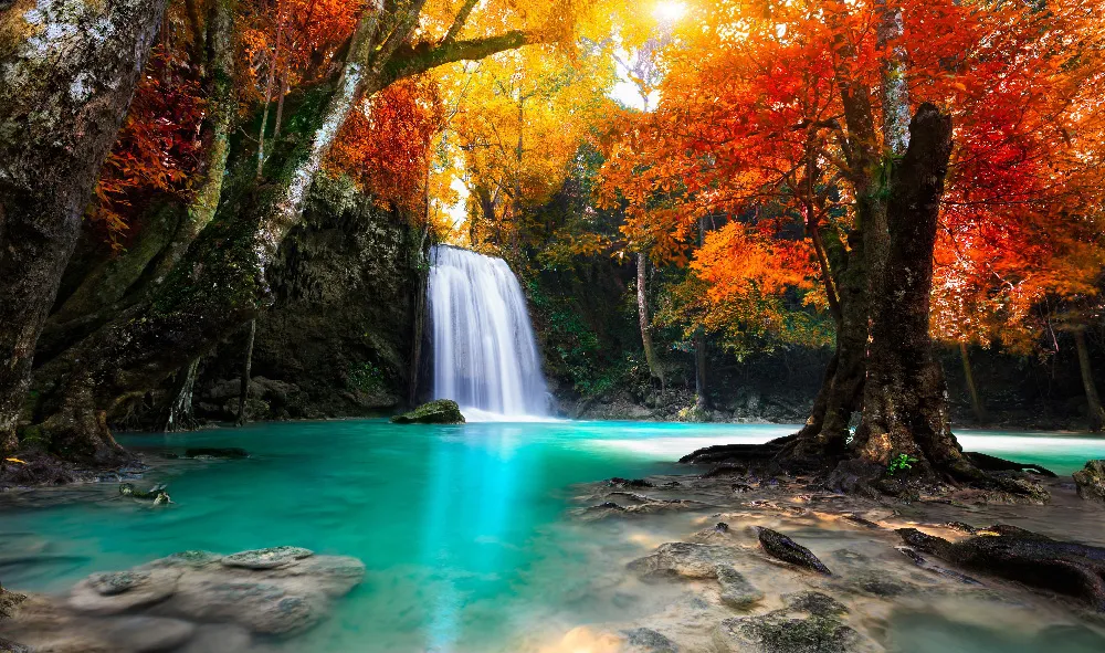 Background Musim Semi 6