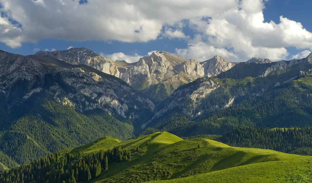 Background Pemandangan HD 7